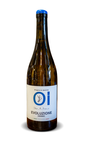 Evoluzione